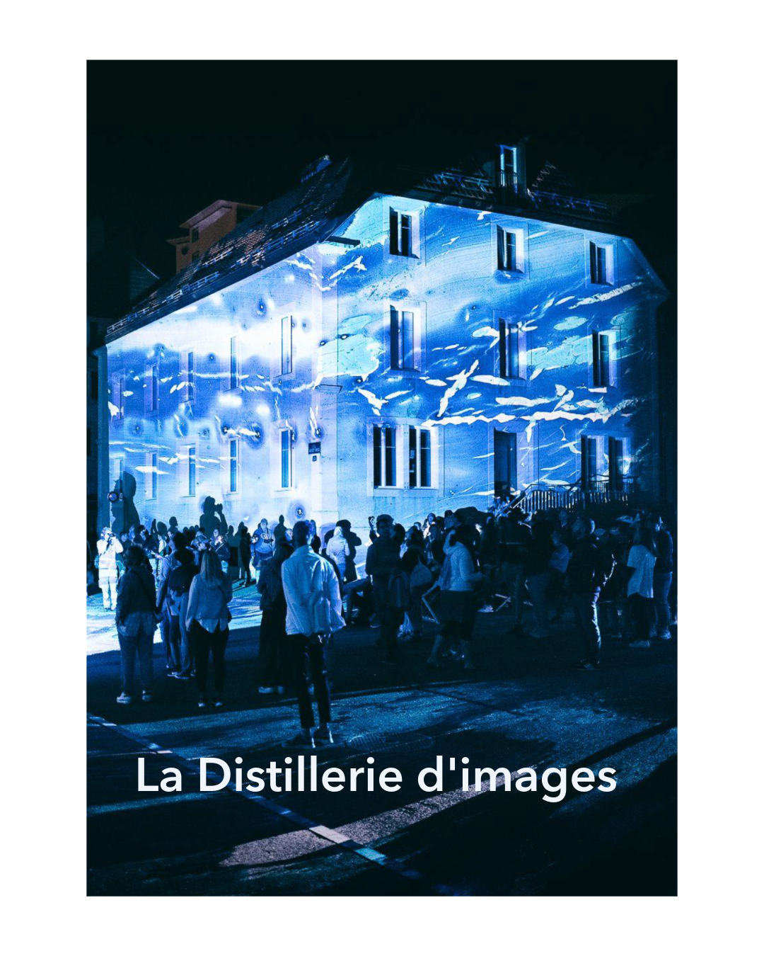 Fête du Lycée 2025 – Distillerie d’images