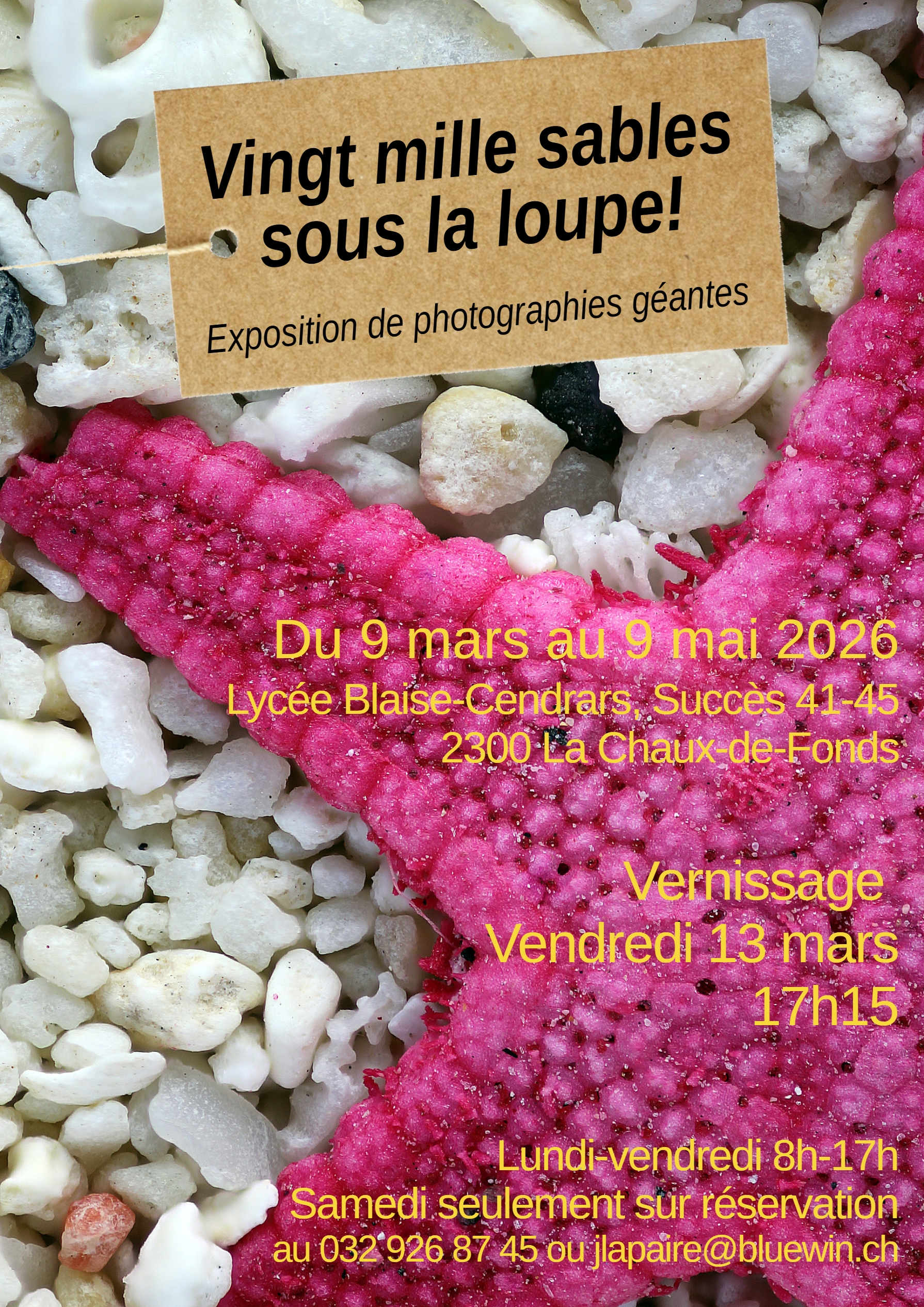 Vingt mille sables sous la loupe ! – Exposition